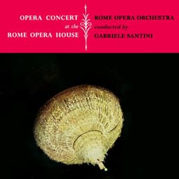 Opera Concert At The Rome Opera House - Gaetano Donizetti