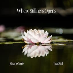 Where Stillness Opens - Shane Nole