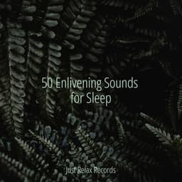 50 Enlivening Sounds for Sleep - Pro Sound Effects Library