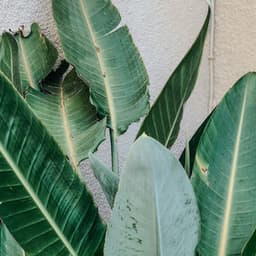 0 Hour Zen: Soothing Escape - Coastal Sounds