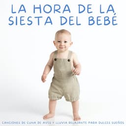 La Hora De La Siesta Del Bebé: Canciones De Cuna De Aves Y Lluvia Relajante Para Dulces Sueños - Sueño Sonidos Lluvia