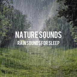 Rain Sounds for Sleep - Nature Sounds