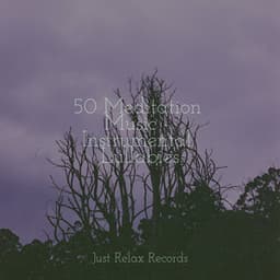 50 Meditation Music - Instrumental Lullabies - Chinese Relaxation and Meditation