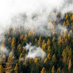 Rain Pour - Lofi Rain