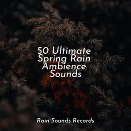50 Ultimate Spring Rain Ambience Sounds - Cascada de Lluvia