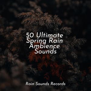 50 Ultimate Spring Rain Ambience Sounds - Cascada de Lluvia