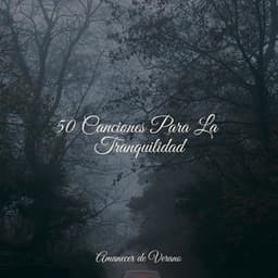 50 Canciones Para La Tranquilidad - Relajación Piano