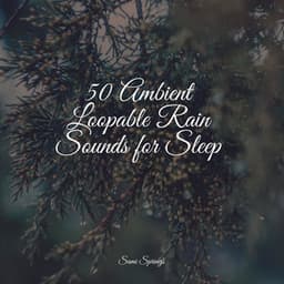 50 Ambient Loopable Rain Sounds for Sleep - Sonido Del Bosque y Naturaleza