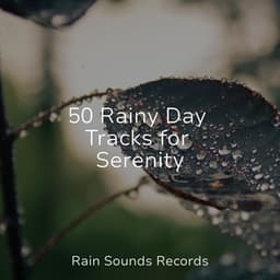 50 Rainy Day Tracks for Serenity - Avslappning Sound