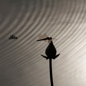 Within The Chest Frame - Brain Waves Therapy