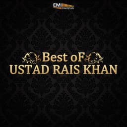 Best of Ustad Rais Khan - Ustad Rais Khan