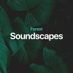 Forest Soundscapes - Mother Nature Sound FX