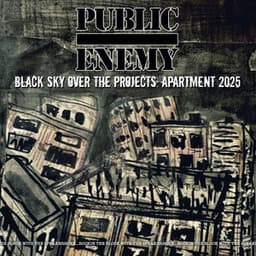 Black Sky Over The Projects: Apartment 2025