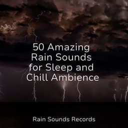 50 Amazing Rain Sounds for Sleep and Chill Ambience - Sonidos De Lluvia y Tormentas