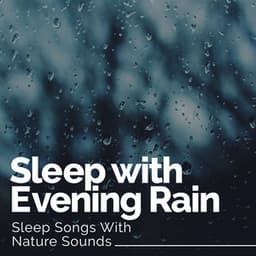 Sleep with Evening Rain - Sleep Songs with Nature Sounds