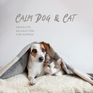 Calm Dog & Cat: Absolute Relaxation for Puppies, Kittens, Stress Reduction, Anxiety Help, Calm Dow Your Pet - Sleep Music!