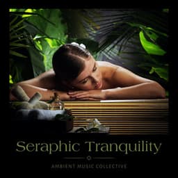 Seraphic Tranquility: Calm Music for Spa - Ambient Music Collective