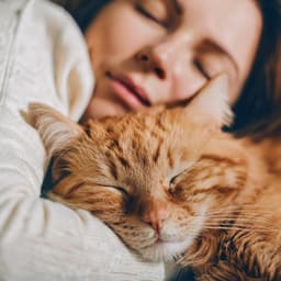 Sonidos Suaves Para Gatos Serenos - Inmersiones y saltos