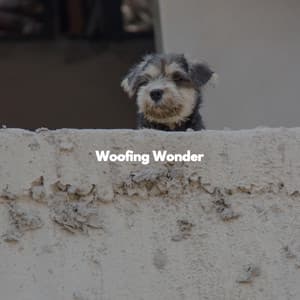 Woofing Wonder - Hotel Lobby Music Beats