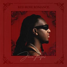 Red Rose Romance - Jonna Fraser