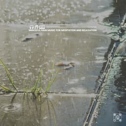 Graceful Rain Music for Meditation and Relaxation - Rain Sound Studio
