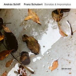 Schubert: Piano Sonatas D. 958 & D. 959; Impromptus, D. 899 - Franz Schubert