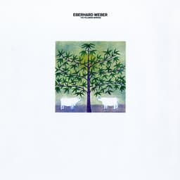 The Following Morning - Eberhard Weber