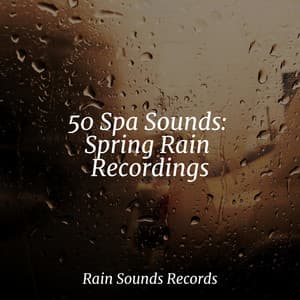 50 Spa Sounds: Spring Rain Recordings - Music For Absolute Sleep