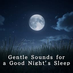 Gentle Sounds for a Good Night’s Sleep - Relaxing BGM Project