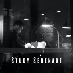 Study Serenade: Elevate Focus with Gentle Pink Noise - Study