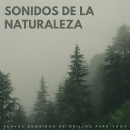 Sonidos De La Naturaleza: Suaves Zumbidos De Grillos Para Yoga - Música de la Naturaleza