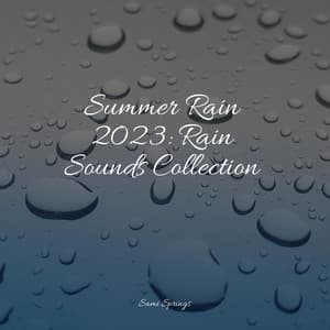 50 Beautiful Sounds of Rain and Nature Sounds - Naturaleza Relajacion