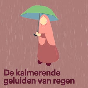 De kalmerende geluiden van regen - Geluiden van de Regen