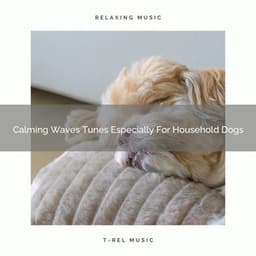 Calming Waves Tunes Especially For Household Dogs - Dog Relax