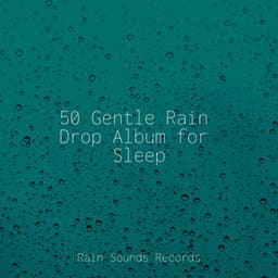 50 Gentle Rain Drop Album for Sleep - Calming Sounds