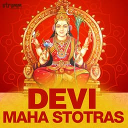 Devi Maha Stotras - Rita Thyagarajan