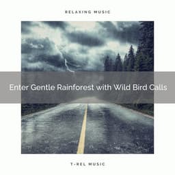 ! ! ! ! ! ! ! ! ! ! Enter Gentle Rainforest with Wild Bird Calls - Heavy Rain Sounds