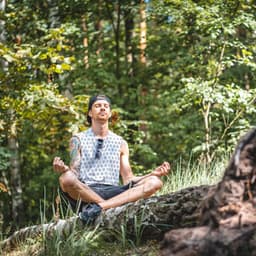 Nature's Tranquil Nest: Bird Song Meditation for Peaceful Serenity - Stereo Outdoor Sampling
