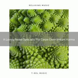 A Lovely Noise Specially For Carpe Diem Instant Karma - Be Relaxed White Noise