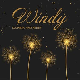 Windy Slumber and Relief - Deep Sleep Music Maestro