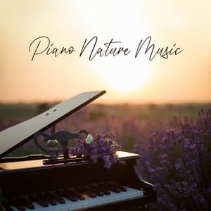 Piano Nature Music - Calming Water Consort