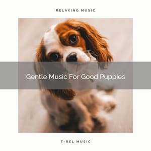 Gentle Music For Good Puppies - Sleepy Pets