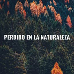 Perdido En La Naturaleza - Elementos de la naturaleza