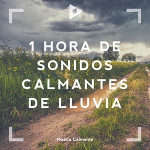 1 Hora de Sonidos Calmantes de Lluvia - Sonidos De Lluvia y Tormentas