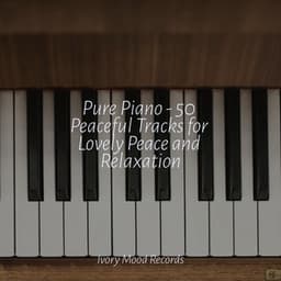 Pure Piano - 50 Peaceful Tracks for Lovely Peace and Relaxation - Ivory Mood