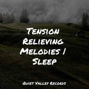 Tension Relieving Melodies | Sleep - Meditative Music Guru