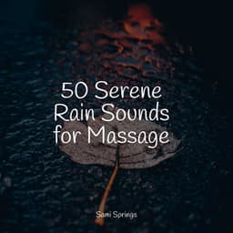 50 Serene Rain Sounds for Massage - The White Noise Zen & Meditation Sound Lab