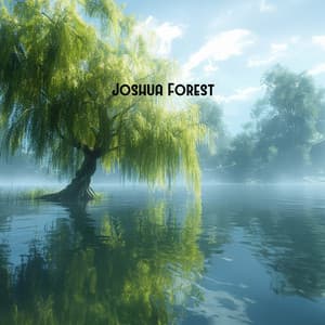 Holy Waters: Ethereal Relaxing Music and Water Sounds for Immersive Peace, Prayer & Meditation Music - Joshua Forest