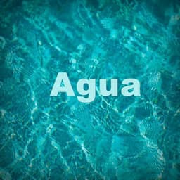 Agua - Sonido de Agua en Bambu