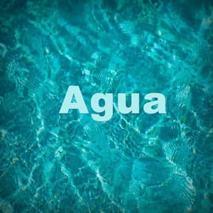 Agua - Sonido de Agua en Bambu